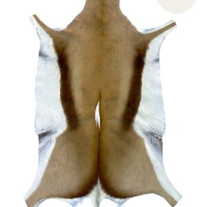 Brown and white animal hide, possibly a taxidermied Impala, shown as a flat rug.
