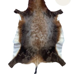 Brown and white animal hide rug. Blesbok.